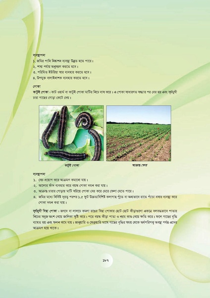 File:GoB DAE BGP Field School Session Guide.pdf