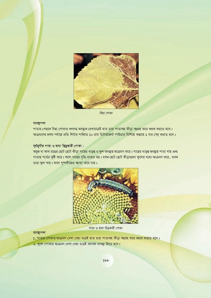 File:GoB DAE BGP Field School Session Guide.pdf