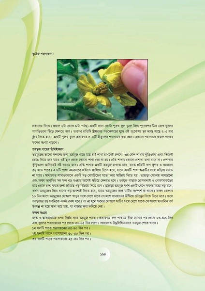 File:GoB DAE BGP Field School Session Guide.pdf