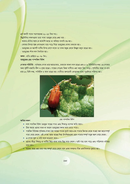 File:GoB DAE BGP Field School Session Guide.pdf