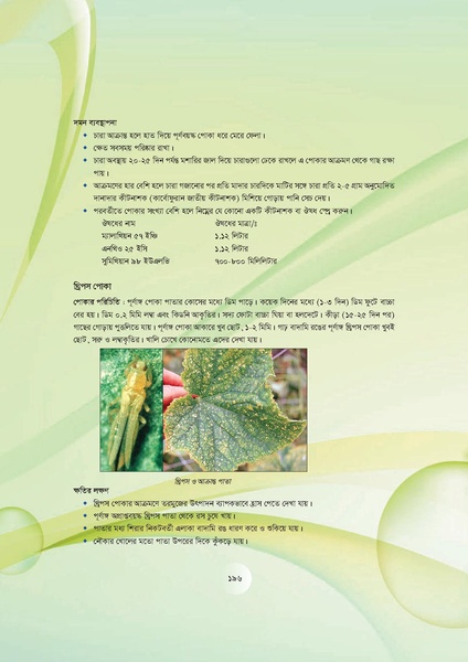 File:GoB DAE BGP Field School Session Guide.pdf