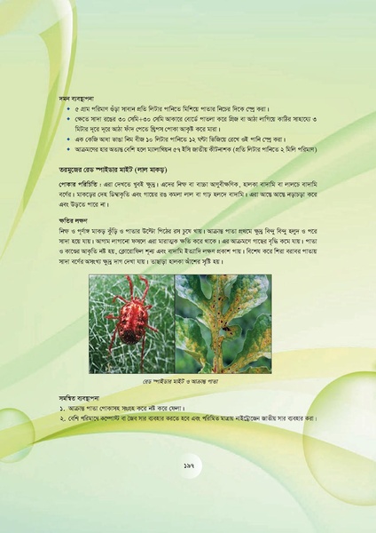 File:GoB DAE BGP Field School Session Guide.pdf