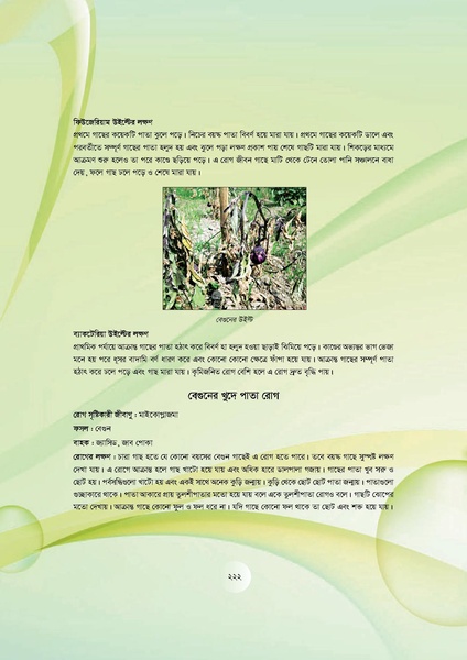 File:GoB DAE BGP Field School Session Guide.pdf