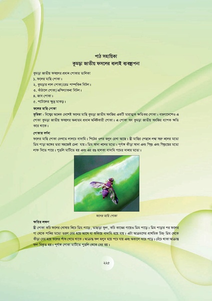 File:GoB DAE BGP Field School Session Guide.pdf