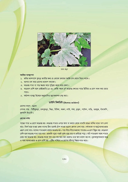 File:GoB DAE BGP Field School Session Guide.pdf