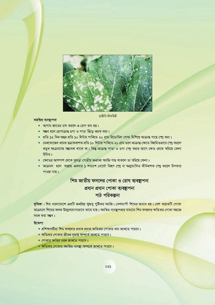 File:GoB DAE BGP Field School Session Guide.pdf