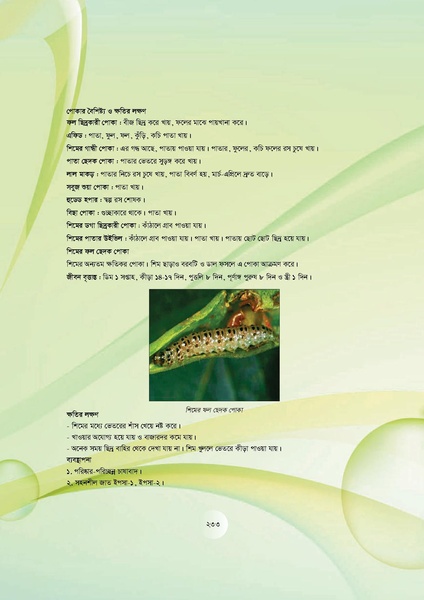 File:GoB DAE BGP Field School Session Guide.pdf