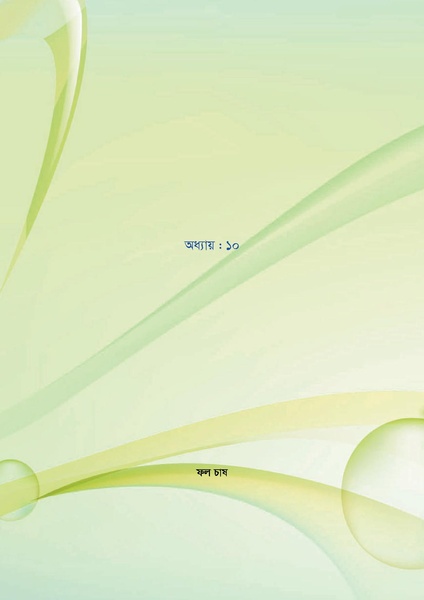File:GoB DAE BGP Field School Session Guide.pdf