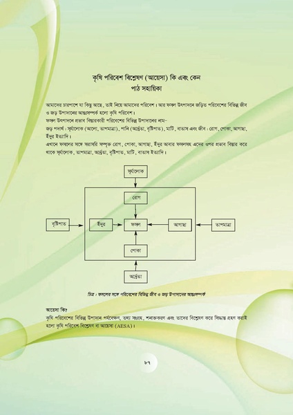 File:GoB DAE BGP Field School Session Guide.pdf