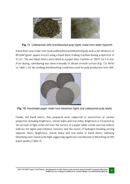 File:BGIF32 29nov 20 Final Report BGIF-KU WH project.pdf