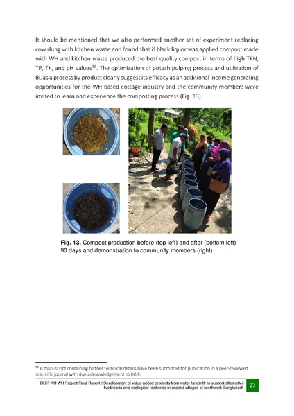 File:BGIF32 29nov 20 Final Report BGIF-KU WH project.pdf