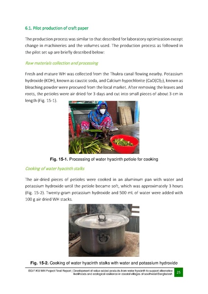 File:BGIF32 29nov 20 Final Report BGIF-KU WH project.pdf
