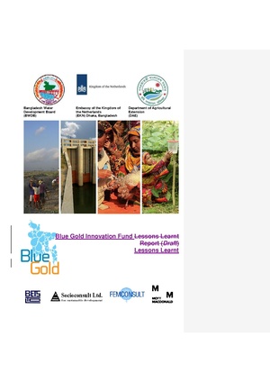 19dec 19 BGIF Lessons Learnt draft v3.pdf