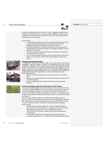 File:19dec 19 BGIF Lessons Learnt draft v3.pdf