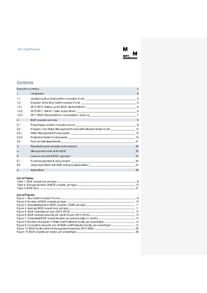 File:19dec 19 BGIF Lessons Learnt draft v3.pdf