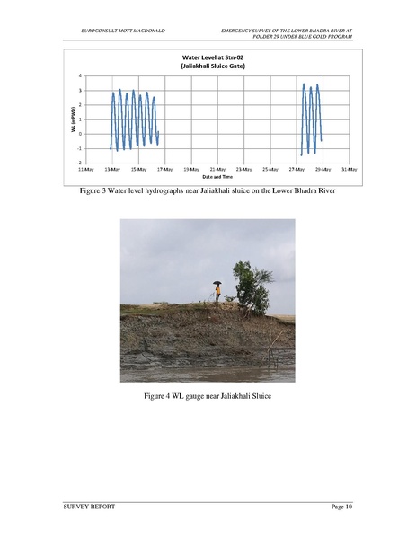 File:P29 Lower Bhadra IWM river survey report 23jul 17.pdf