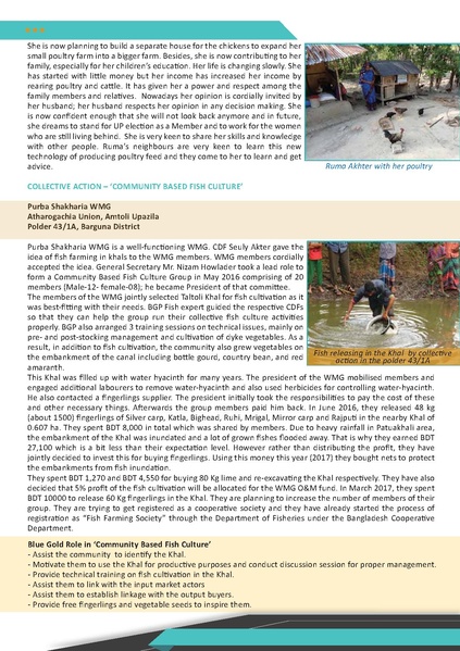 File:TW02 Trend Watcher 2 17oct 17.pdf