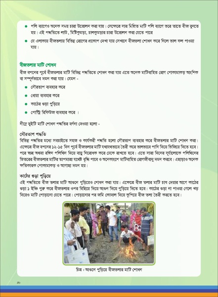 File:TM homestead FFS nov 18 opt compressed.pdf