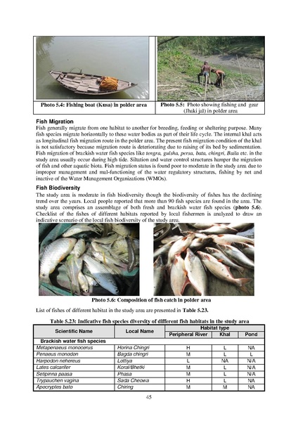 File:EIA Report Polder 47-4 aug 20.pdf