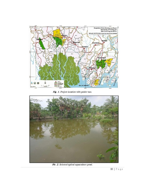 File:BGIF27B Innovision Final Report Pangasius aquaculture 31jan 19.pdf