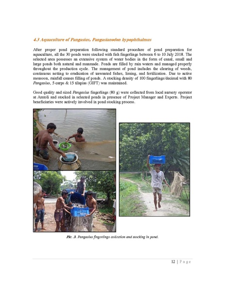 File:BGIF27B Innovision Final Report Pangasius aquaculture 31jan 19.pdf