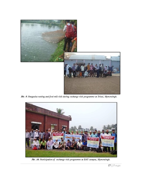 File:BGIF27B Innovision Final Report Pangasius aquaculture 31jan 19.pdf