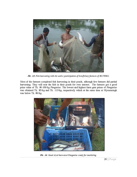 File:BGIF27B Innovision Final Report Pangasius aquaculture 31jan 19.pdf