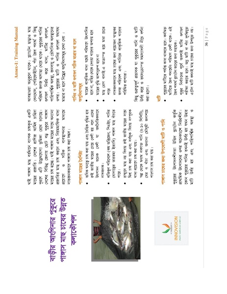 File:BGIF27B Innovision Final Report Pangasius aquaculture 31jan 19.pdf