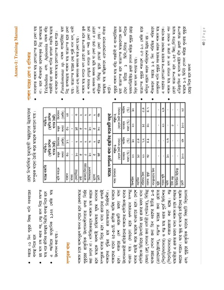 File:BGIF27B Innovision Final Report Pangasius aquaculture 31jan 19.pdf