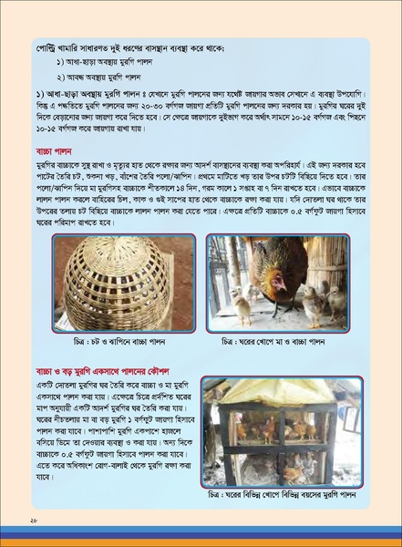 File:TM poultry FFS nov 18 opt-compressed-v2.pdf