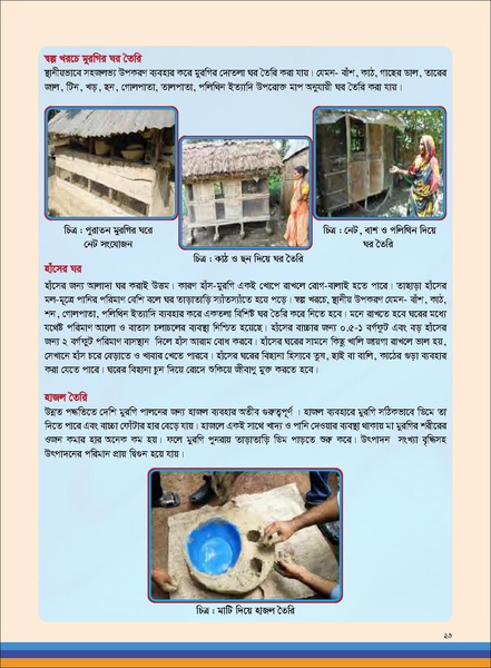 File:TM poultry FFS nov 18 opt-compressed-v2.pdf