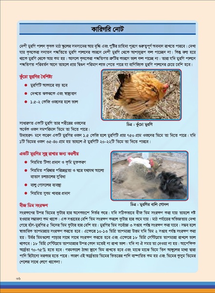 File:TM poultry FFS nov 18 opt-compressed-v2.pdf