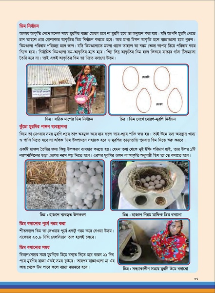 File:TM poultry FFS nov 18 opt-compressed-v2.pdf