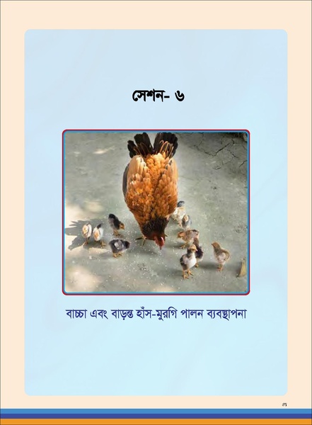 File:TM poultry FFS nov 18 opt-compressed-v2.pdf