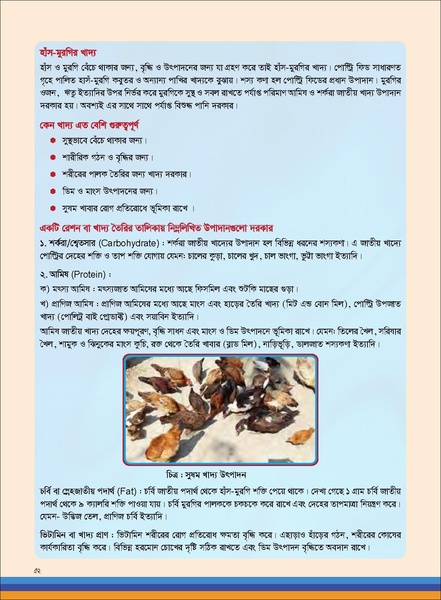 File:TM poultry FFS nov 18 opt-compressed-v2.pdf