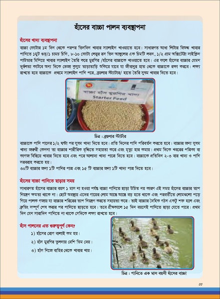 File:TM poultry FFS nov 18 opt-compressed-v2.pdf