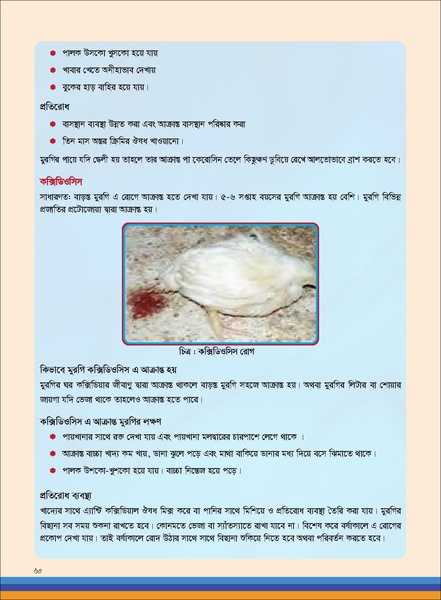 File:TM poultry FFS nov 18 opt-compressed-v2.pdf