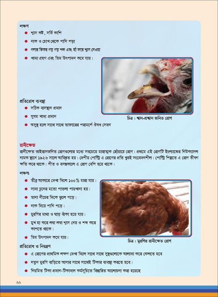 File:TM poultry FFS nov 18 opt-compressed-v2.pdf