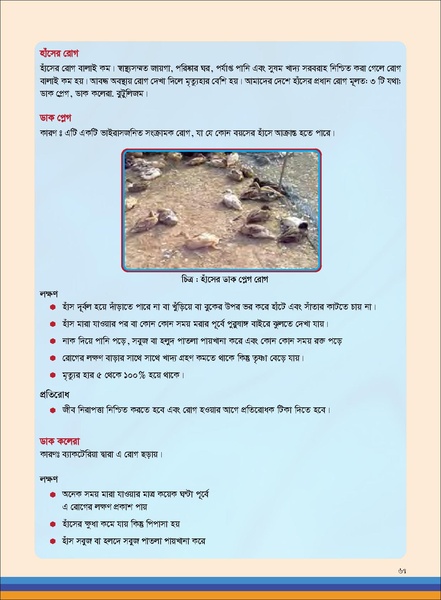 File:TM poultry FFS nov 18 opt-compressed-v2.pdf