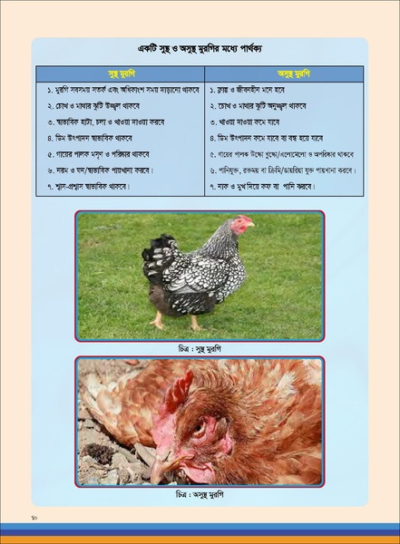 File:TM poultry FFS nov 18 opt-compressed-v2.pdf