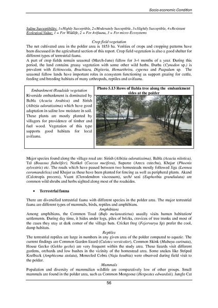 File:EIA P28 2 BWDB Sep 19.pdf