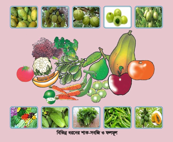 File:Booklet nutrition FFS jul 18.pdf