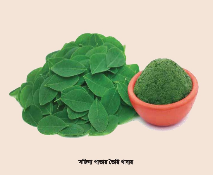 File:Booklet nutrition FFS jul 18.pdf