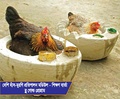 Booklet poultry FFS jul 18.pdf