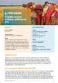 Bgp-llr-call-for-action-bangla-v1.3.pdf