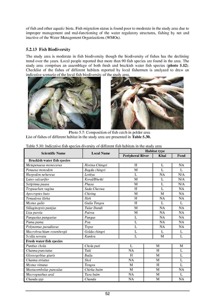 File:EIA P55 2A BWDB Sep 19.pdf