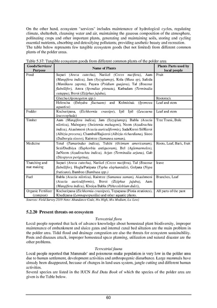 File:EIA P55 2A BWDB Sep 19.pdf