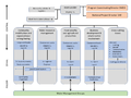 BGP org chart original.png
