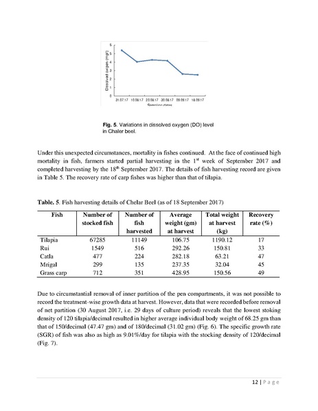 File:BGIF28 BSMRAU P2 Pen Culture mar 18.pdf