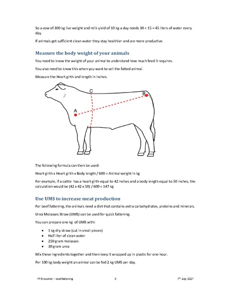 File:Booklet key messages Beef Fattening FFS-English 7jul 21.pdf
